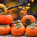 آیا واقعا خرما باعث انسداد روده می شود؟/ چگونه خرما بخوریم؟