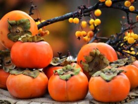 آیا واقعا خرما باعث انسداد روده می شود؟/ چگونه خرما بخوریم؟