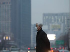 اثرات آلودگی هوا؛ از کاهش تمرکز تا آلزایمر/ مغز چگونه در هوای آلوده فرسوده می شود؟