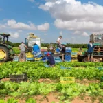 ادعای جروزالم پست: ایران پیشنهادی محرمانه به تایلند داد تا کشاورزی اسرائیل را فلج کند.