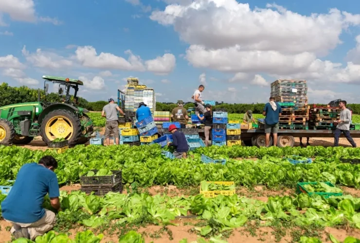 ادعای جروزالم پست: ایران پیشنهادی محرمانه به تایلند داد تا کشاورزی اسرائیل را فلج کند.