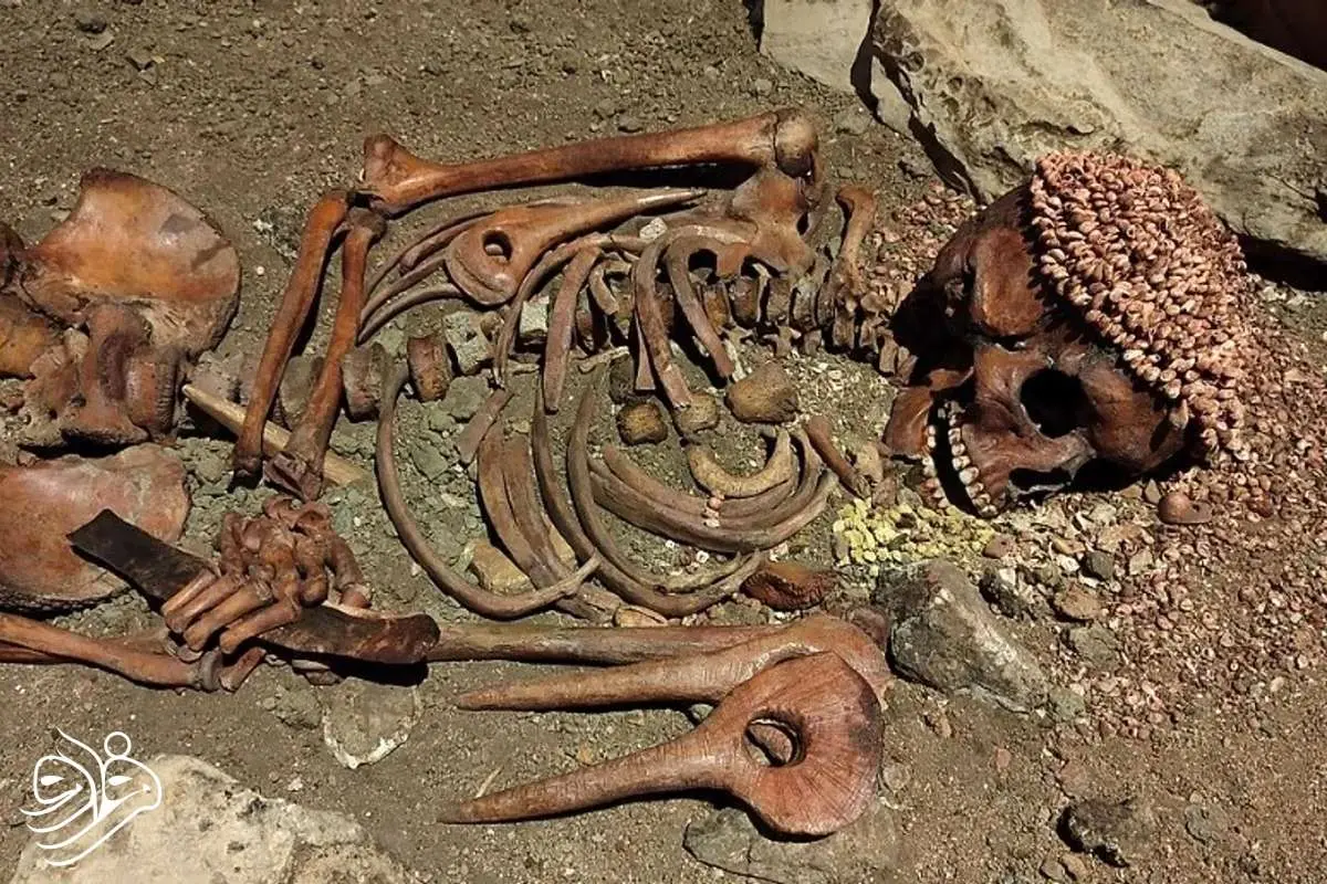 اسکلت 27 هزار ساله مرد جوان قربانی خرس پیدا شد