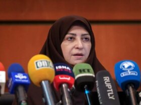 انصاری: حملات اخیر اسرائیل محیط زیست ایران را با بحران مواجه کرده است