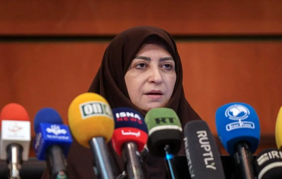 انصاری: حملات اخیر اسرائیل محیط زیست ایران را با بحران مواجه کرده است 1 انصاری: حملات اخیر اسرائیل محیط زیست ایران را با بحران مواجه کرده است