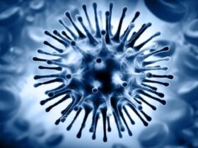 اولین مرگ ناشی از آنفولانزای H3N2 در هرمزگان ثبت شد