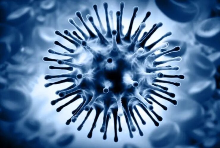 اولین مرگ ناشی از آنفولانزای H3N2 در هرمزگان ثبت شد