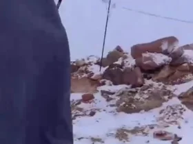 بارش برف در عربستان سعودی