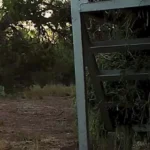 برای دیدن؛ تلاش مذبوحانه یک آهو مادر برای نجات نوزادش از سیاهگوش