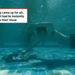 برای دیدن؛ مسابقات شطرنج زیر آب در آفریقای جنوبی