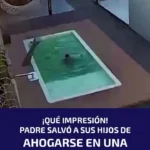 برای دیدن؛ نجات دو برادر سقوط کرده در استخر نفس گیر است