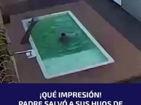 برای دیدن؛ نجات دو برادر سقوط کرده در استخر نفس گیر است 8 برای دیدن؛ نجات دو برادر سقوط کرده در استخر نفس گیر است