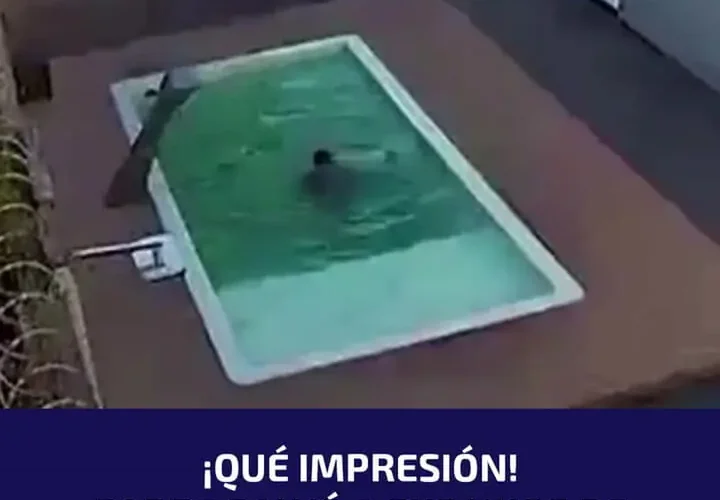 برای دیدن؛ نجات دو برادر سقوط کرده در استخر نفس گیر است