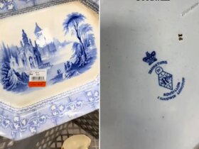 بشقاب 4 دلاری که معلوم شد عتیقه است 3 بشقاب 4 دلاری که معلوم شد عتیقه است