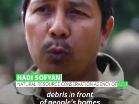 به فیل ها کمک می شود تا زباله ها را در مناطق سیل زده اندونزی پاکسازی کنند