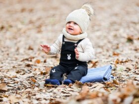 تصاویر; خش خش برگ های پاییزی در میدان مشاه