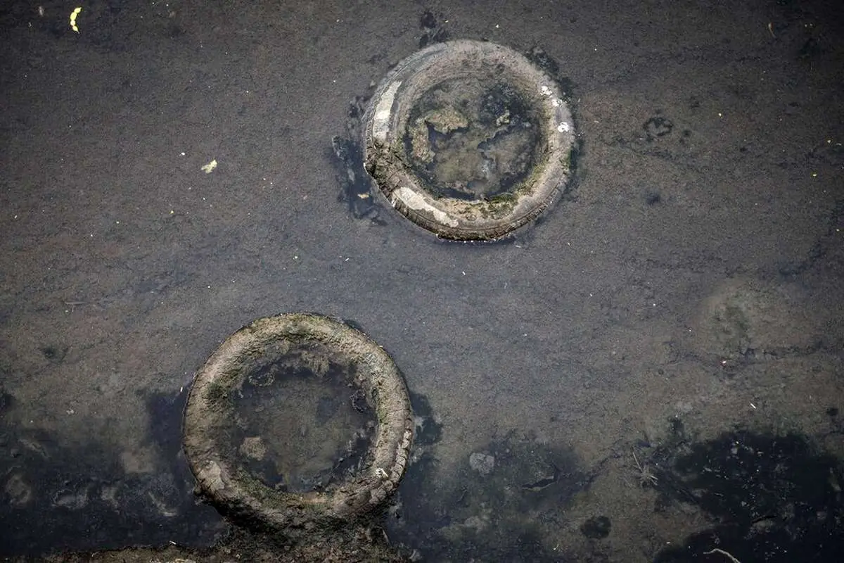 تصاویر; نهرهای بندرعباس; محل پرورش پشه Aedes