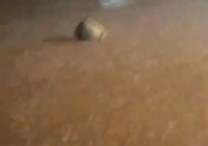 تصاویری از بارش شدید باران در بندر جاسک