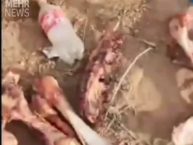 جزئیات تکان دهنده از کشف 3 تن گوشت الاغ در تهران 9 جزئیات تکان دهنده از کشف 3 تن گوشت الاغ در تهران