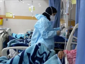 جزئیات مرگ و میر ناشی از نوع جدید آنفولانزا؛ آیا افزایش مرگ و میر ناشی از آلودگی هوا است؟