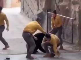 حمله وحشتناک خرس به نگهبان پس از اجرا در چین 8 حمله وحشتناک خرس به نگهبان پس از اجرا در چین