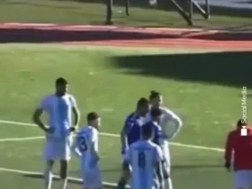 خواب سگ در محوطه جریمه زمین فوتبال!