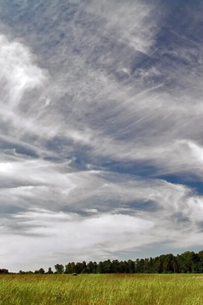 راز ابر سیروس در آسمان سفید 2 راز ابر سیروس در آسمان سفید