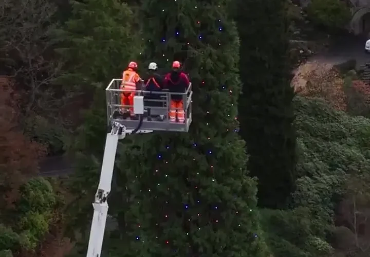 رونمایی از بلندترین درخت کریسمس جهان