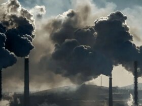 سرطان و ناباروری از پیامدهای آلودگی هوا هستند