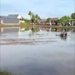 سقوط راننده پاراموتور پس از برخورد با سیم برق