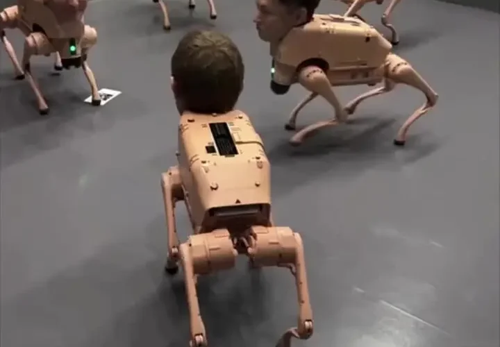 سگ های رباتی با چهره ایلان ماسک و مارک زاکربرگ!