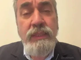 سیامک انصاری از مردم عذرخواهی کرد