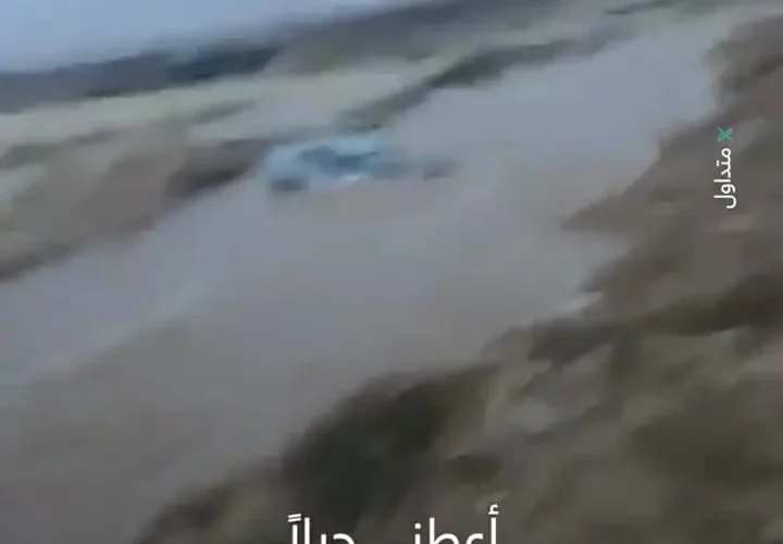 سیل جوانان فلسطینی را با خود برد