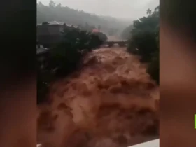 سیل مرگبار در سریلانکا؛ 159 نفر کشته و بیش از 200 مفقود شدند 8 سیل مرگبار در سریلانکا؛ 159 نفر کشته و بیش از 200 مفقود شدند