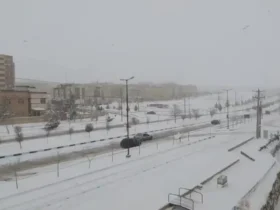 شمال تهران پوشیده از برف