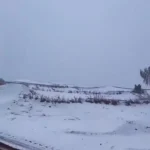 شگفتی یلدا در میان خشکسالی؛ صحرای مصر سفید پوش شده است