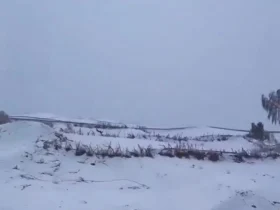 شگفتی یلدا در میان خشکسالی؛ صحرای مصر سفید پوش شده است