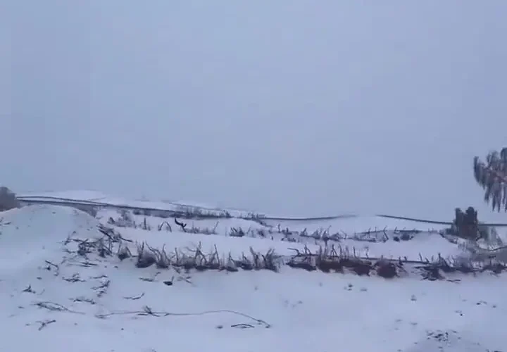 شگفتی یلدا در میان خشکسالی؛ صحرای مصر سفید پوش شده است