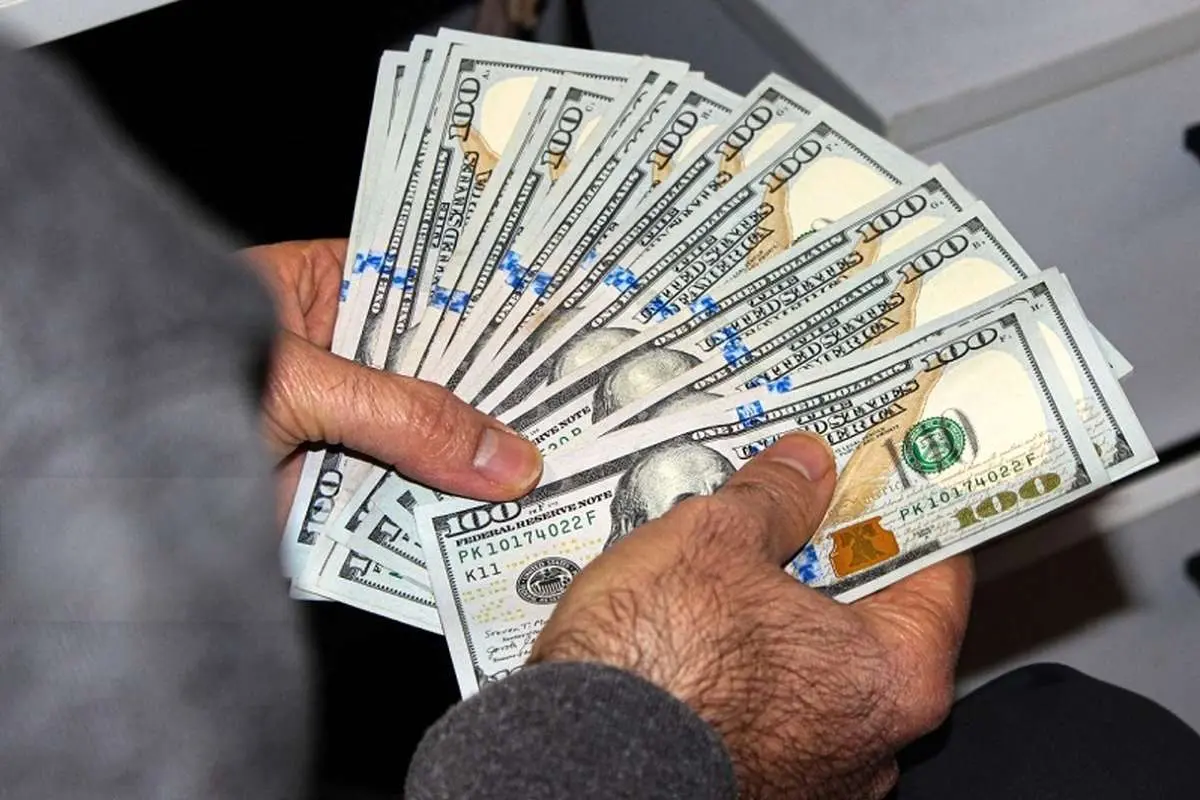 فارس: دولت فرآیند ارز تک ارزی را راه اندازی کرد