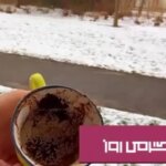 فال قهوه روزانه سه شنبه ۱۱ آذر ؛ هشدار که شانه در فال شما نشان از یک آدم خیانتکار و فریبکار...