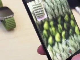 قدرت عکاسی Huawei Pura 80 Ultra: زوم فوق العاده و ماکرو شگفت انگیز 8 قدرت عکاسی Huawei Pura 80 Ultra: زوم فوق العاده و ماکرو شگفت انگیز