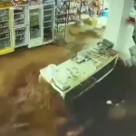 لحظه ورود سیل ویرانگر به مغازه ای در چمچمال