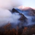 مدیرکل منابع طبیعی مازندران: علت احتمالی آتش سوزی نخبگان شکارچیان غیرمجاز است.