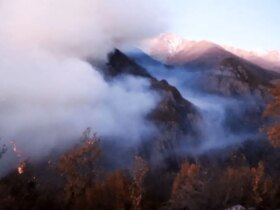 مدیرکل منابع طبیعی مازندران: علت احتمالی آتش سوزی نخبگان شکارچیان غیرمجاز است. 8 مدیرکل منابع طبیعی مازندران: علت احتمالی آتش سوزی نخبگان شکارچیان غیرمجاز است.