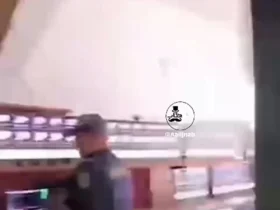 مزرعه رو به رشد مشاهده ویدیو در برزیل را کشف کنید! 9 مزرعه رو به رشد مشاهده ویدیو در برزیل را کشف کنید!