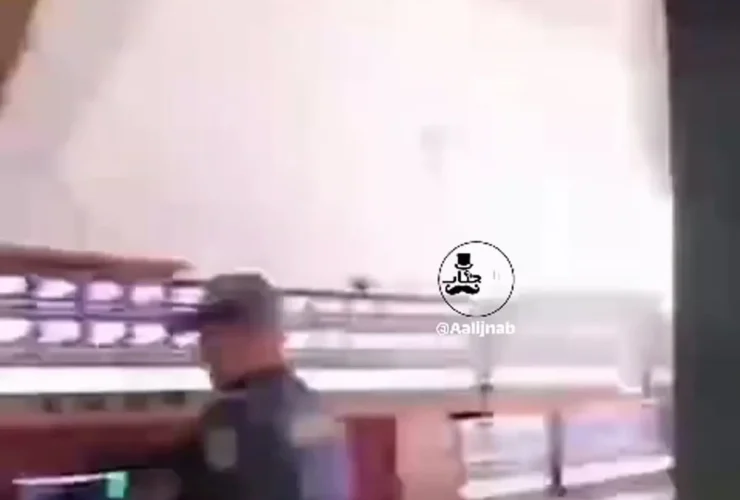 مزرعه رو به رشد مشاهده ویدیو در برزیل را کشف کنید!