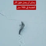 مسیر چشمگیر یک فوک در حال عبور از برف در قطب جنوب