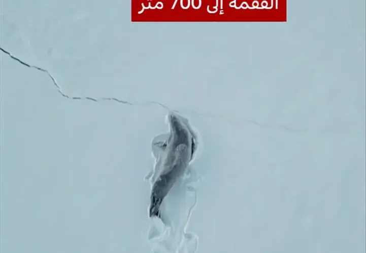 مسیر چشمگیر یک فوک در حال عبور از برف در قطب جنوب