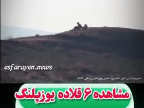 مشاهده 6 یوزپلنگ آسیایی در پناهگاه حیات وحش میاندات