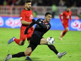 من در بهانه ها گم شده ام. علی علیپور را ندیدی؟