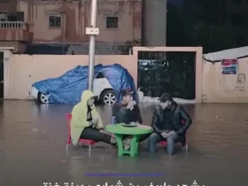 منظره ای جالب در خیابان های غزه 8 منظره ای جالب در خیابان های غزه